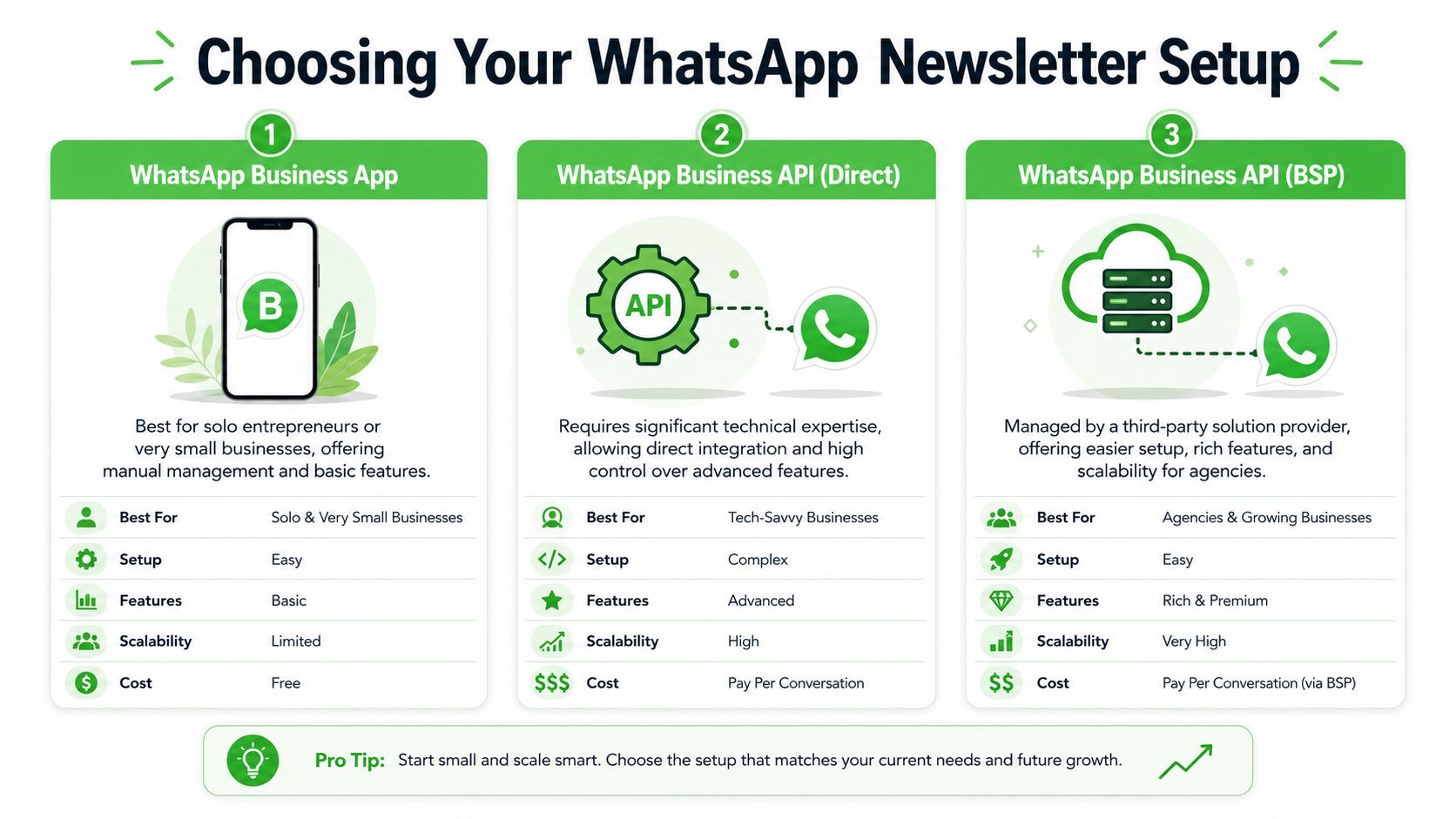 A comparison chart outlining three different setup options for businesses to manage their WhatsApp newsletter campaigns.